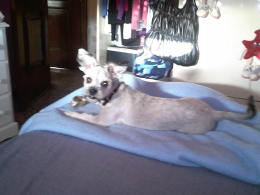 Nika recien pelada Nika recien pelada